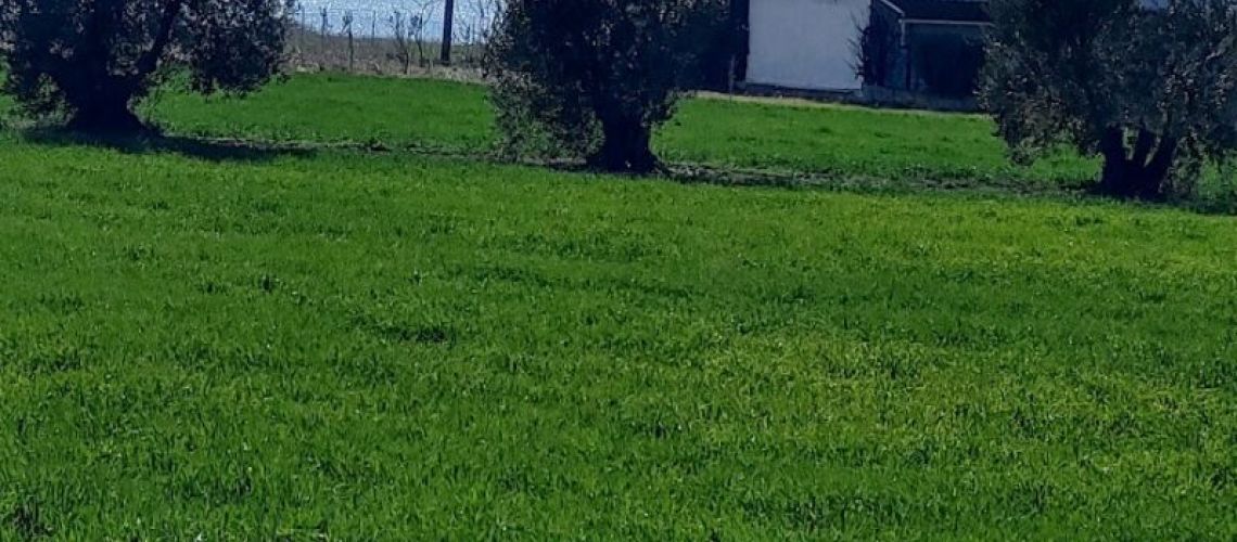 εικόνα ακινήτου