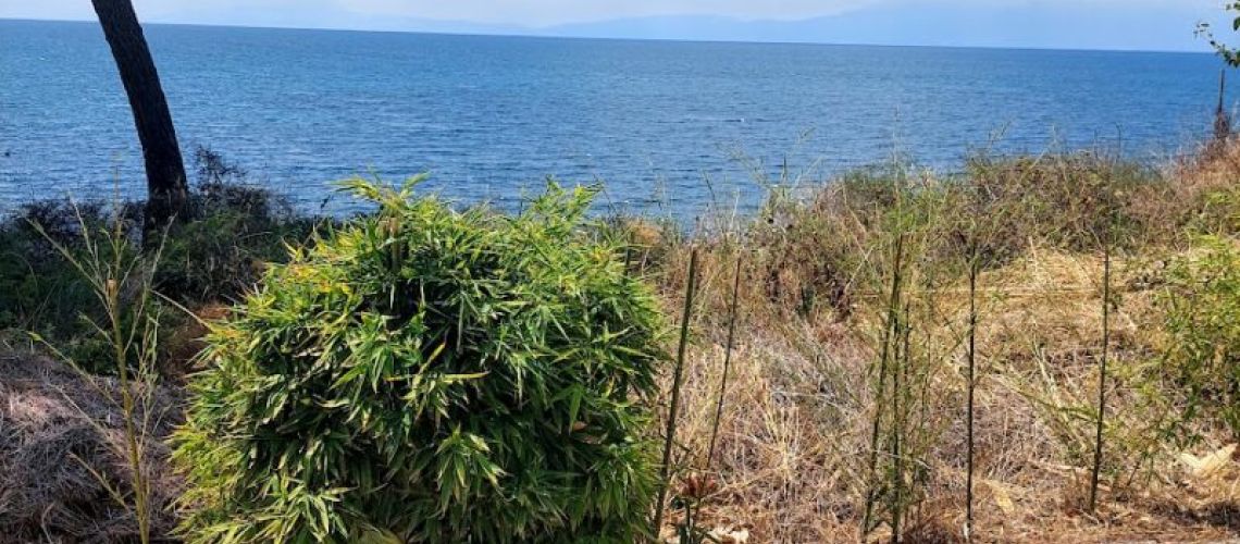 εικόνα ακινήτου