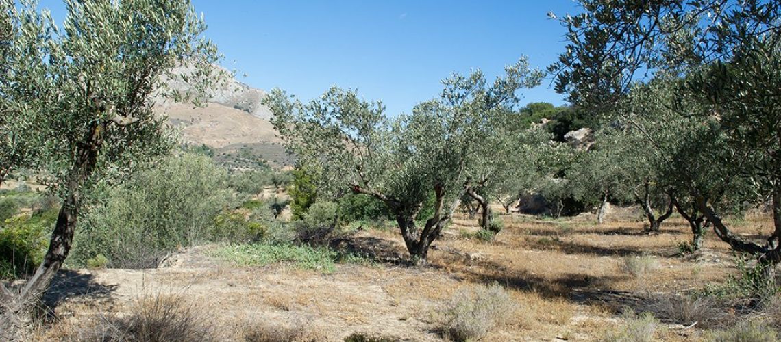 εικόνα ακινήτου