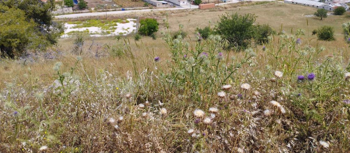 εικόνα ακινήτου