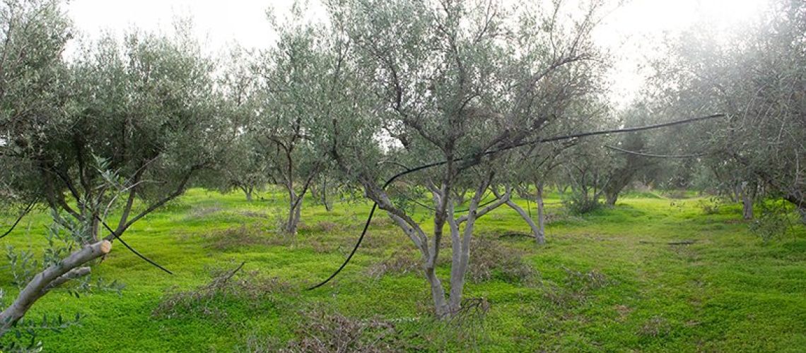 εικόνα ακινήτου