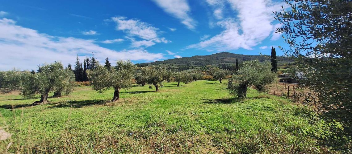 εικόνα ακινήτου