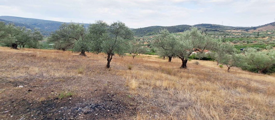 εικόνα ακινήτου