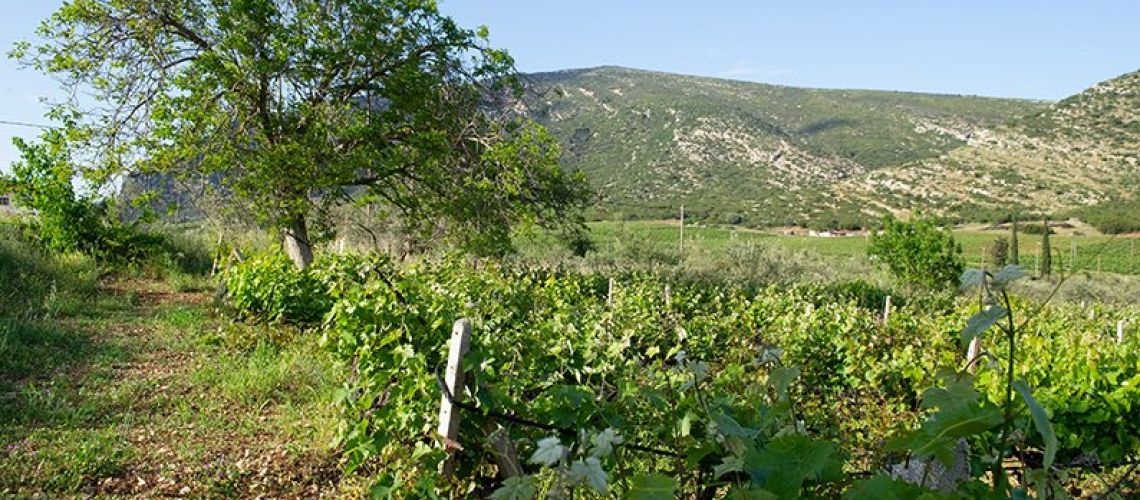 εικόνα ακινήτου