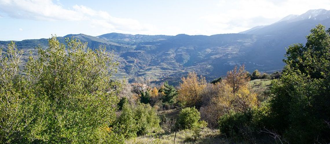 εικόνα ακινήτου