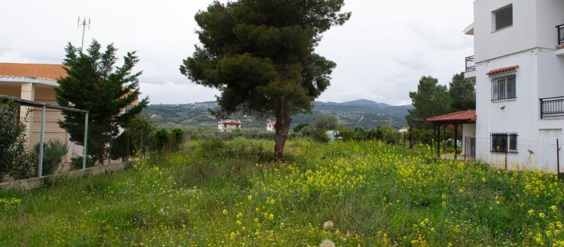 εικόνα ακινήτου