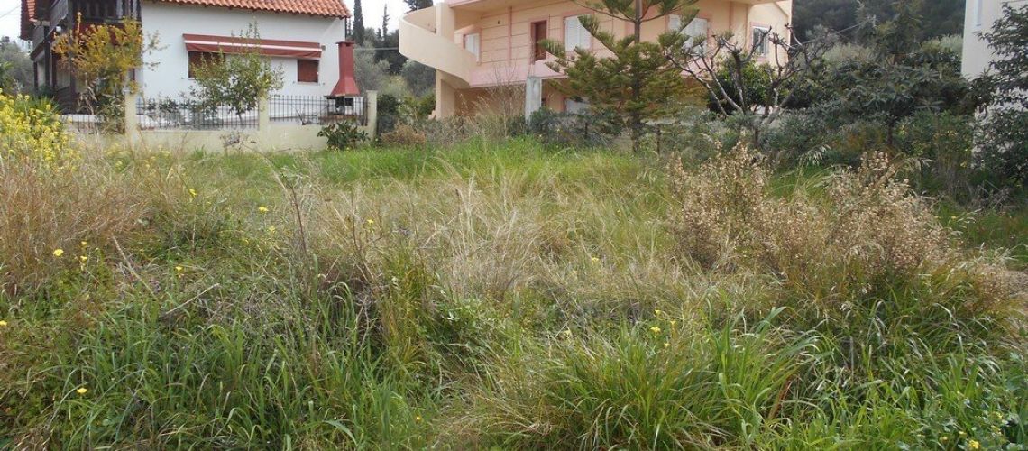 εικόνα ακινήτου