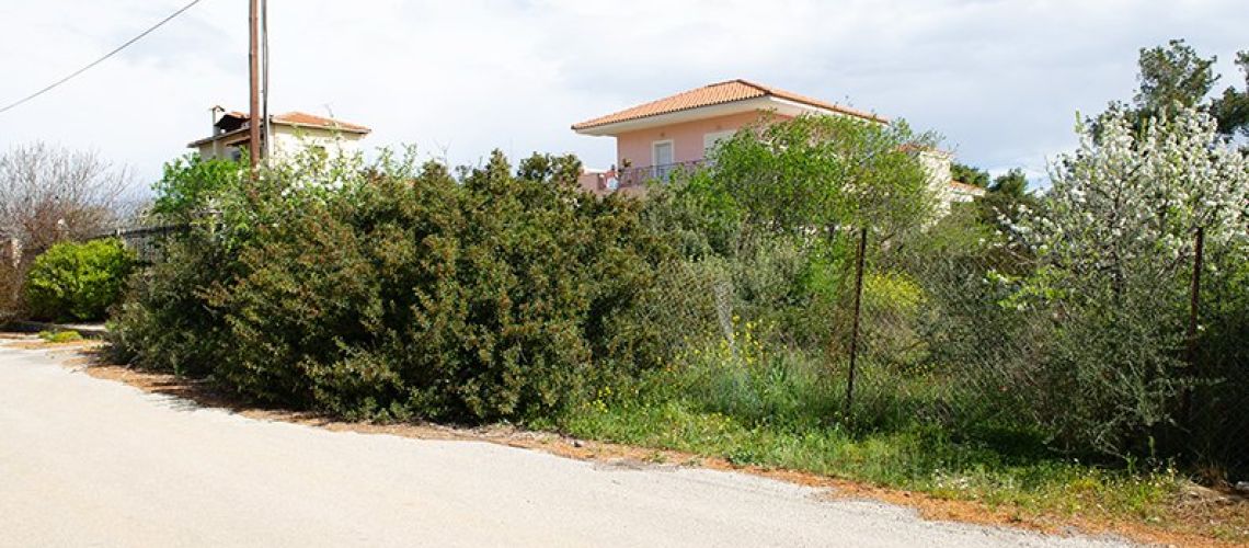 εικόνα ακινήτου