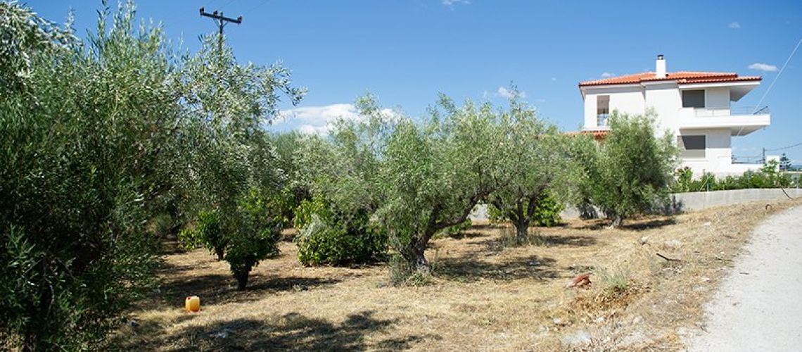εικόνα ακινήτου