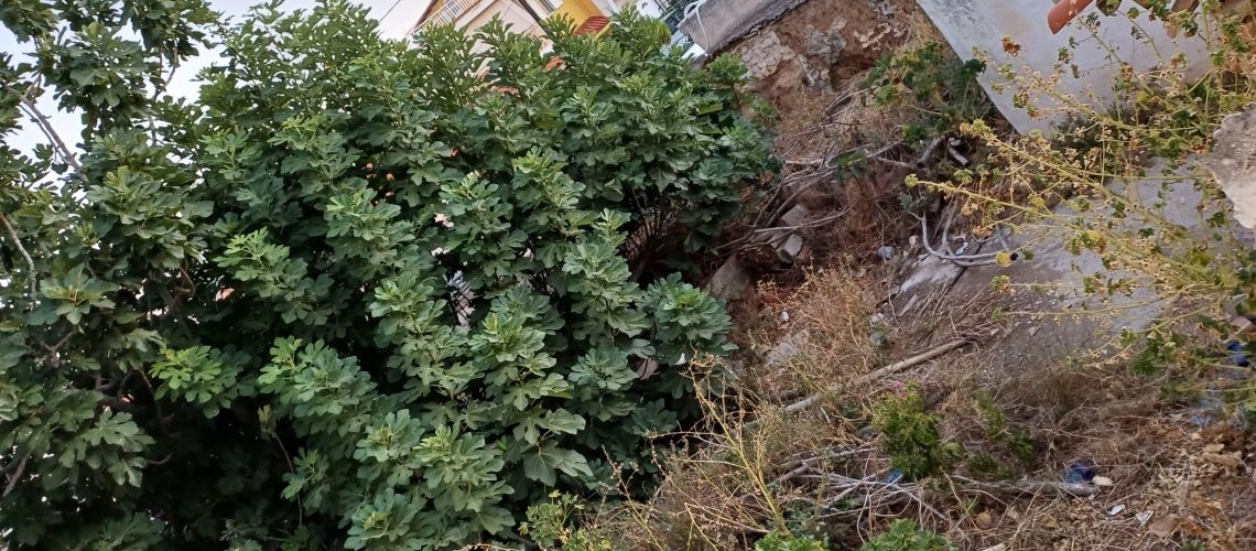 εικόνα ακινήτου
