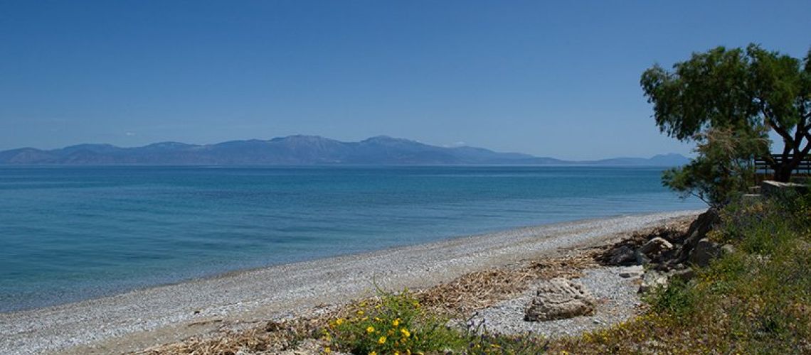 εικόνα ακινήτου