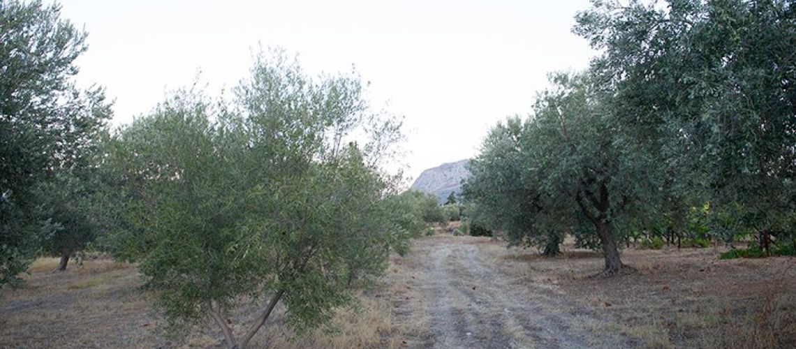 εικόνα ακινήτου