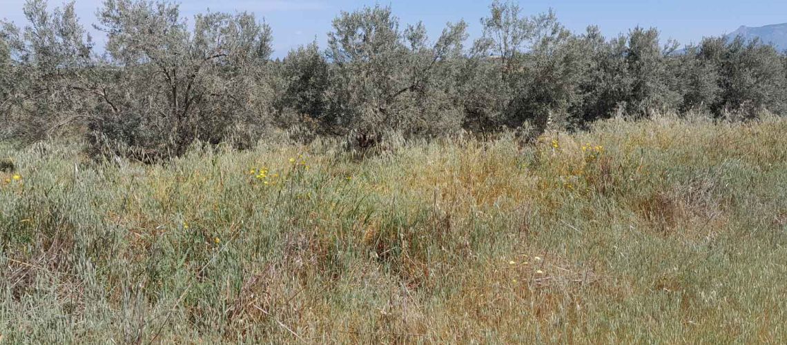 εικόνα ακινήτου