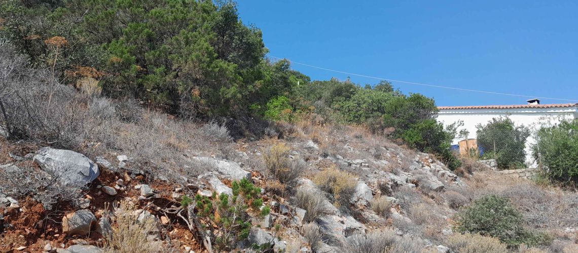 εικόνα ακινήτου