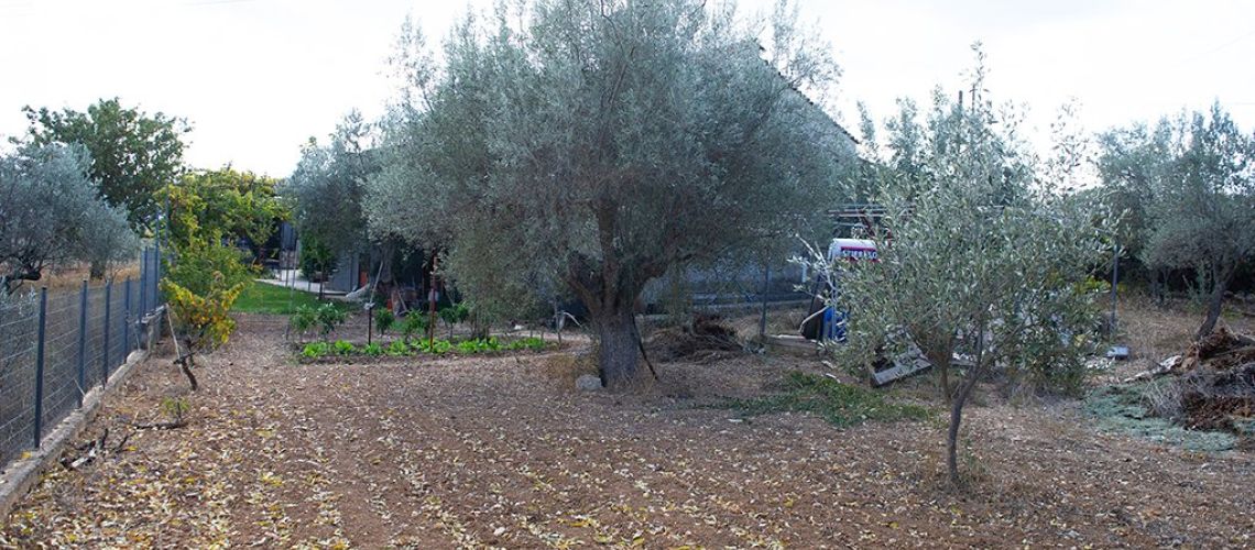 εικόνα ακινήτου