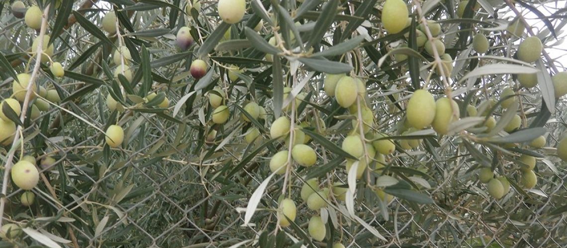 εικόνα ακινήτου