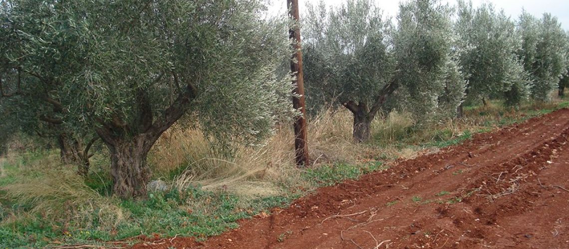 εικόνα ακινήτου