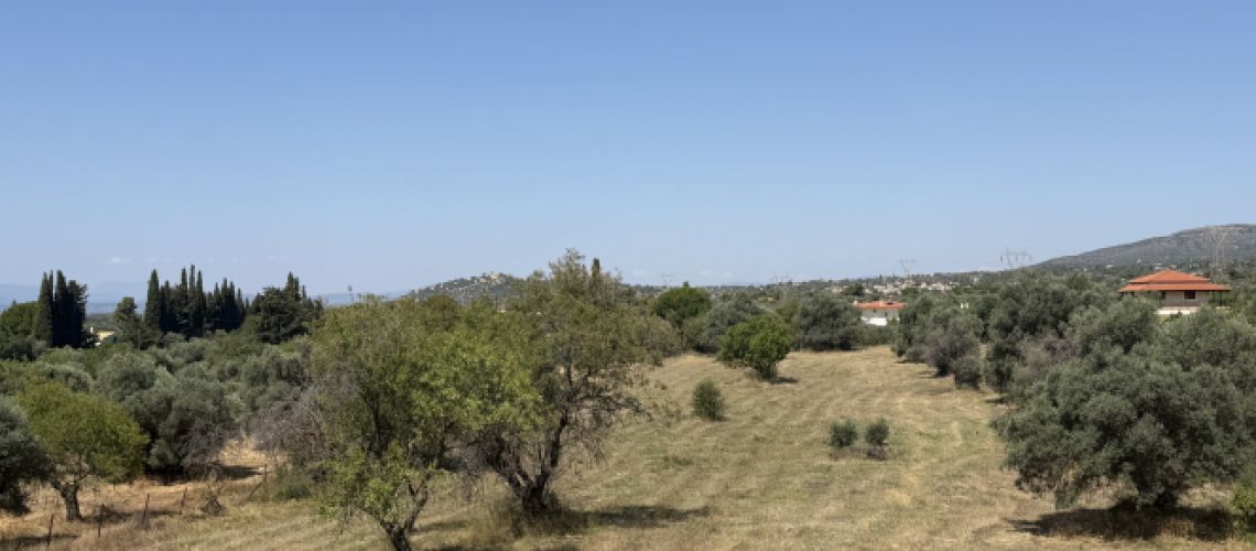 εικόνα ακινήτου