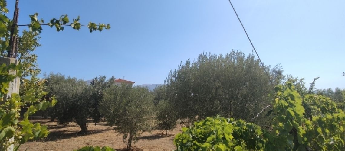 εικόνα ακινήτου
