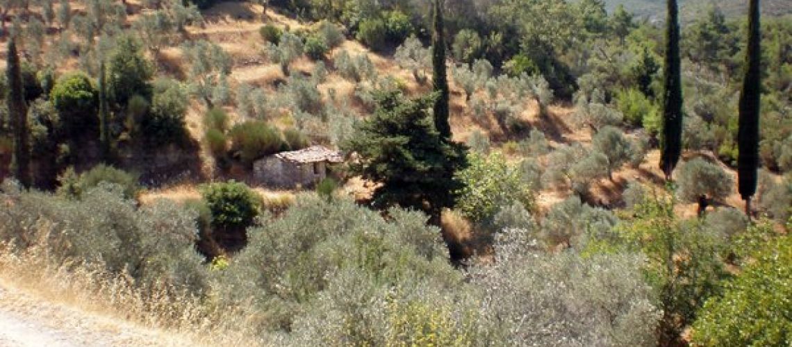 εικόνα ακινήτου