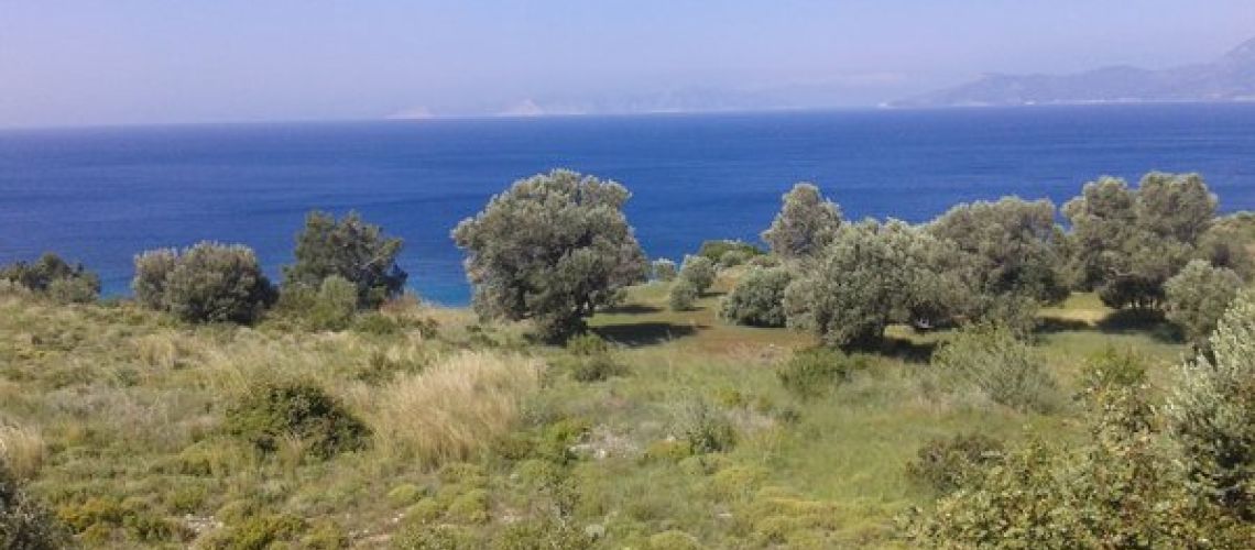 εικόνα ακινήτου