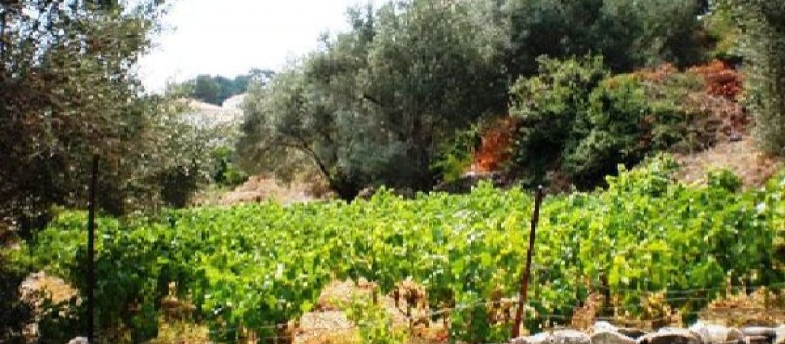 εικόνα ακινήτου