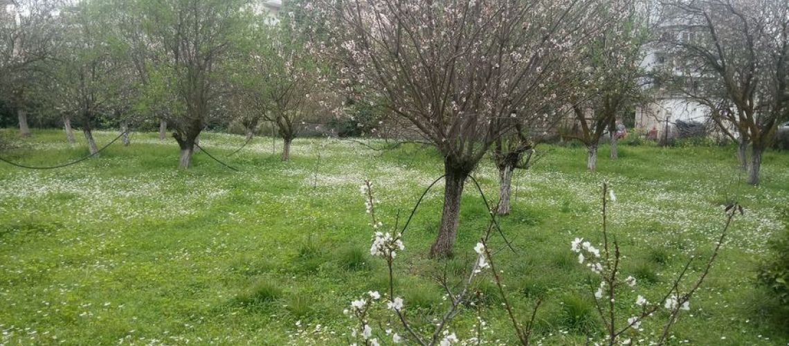 εικόνα ακινήτου