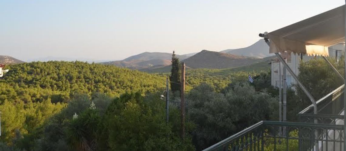 εικόνα ακινήτου