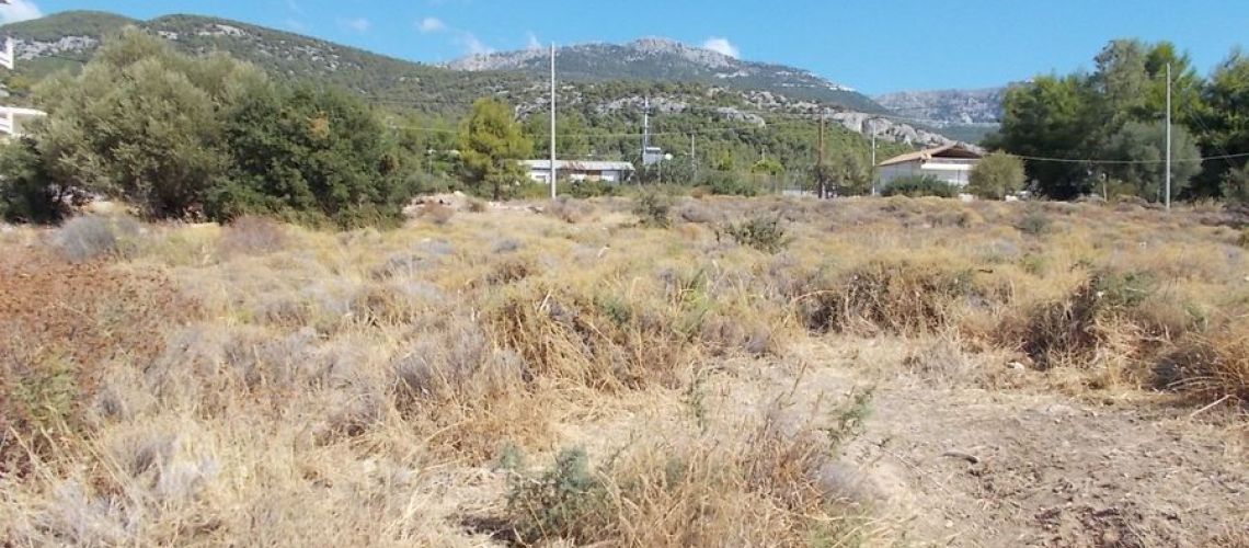 εικόνα ακινήτου
