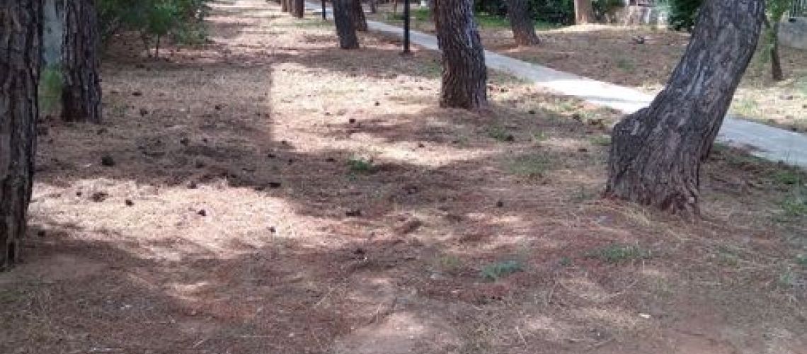 εικόνα ακινήτου