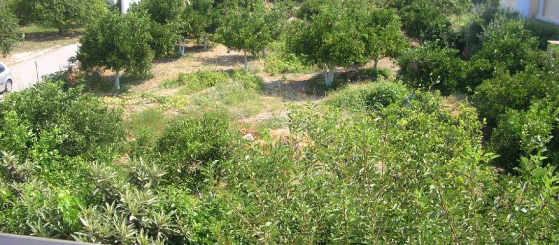 εικόνα ακινήτου