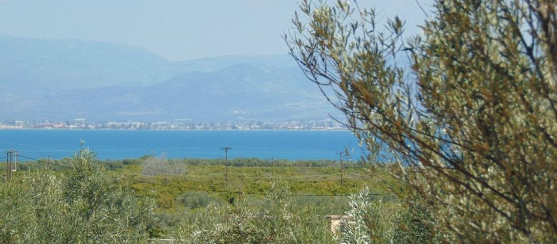 εικόνα ακινήτου