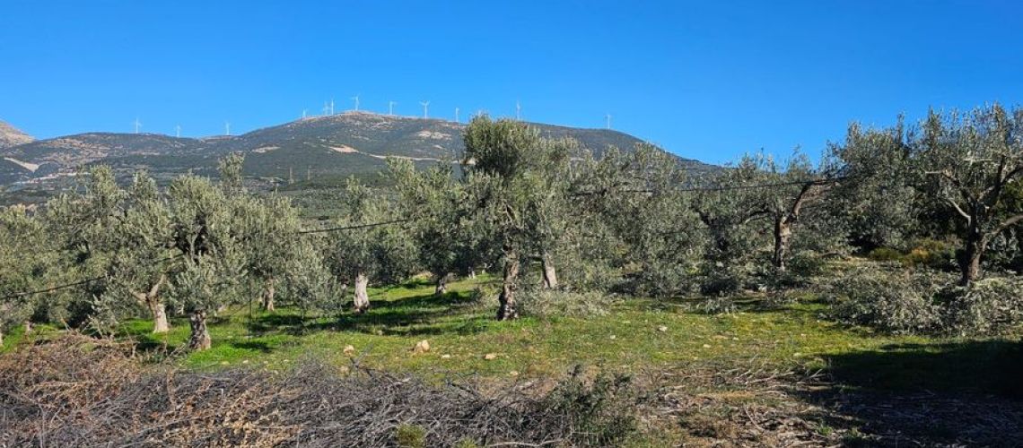 εικόνα ακινήτου