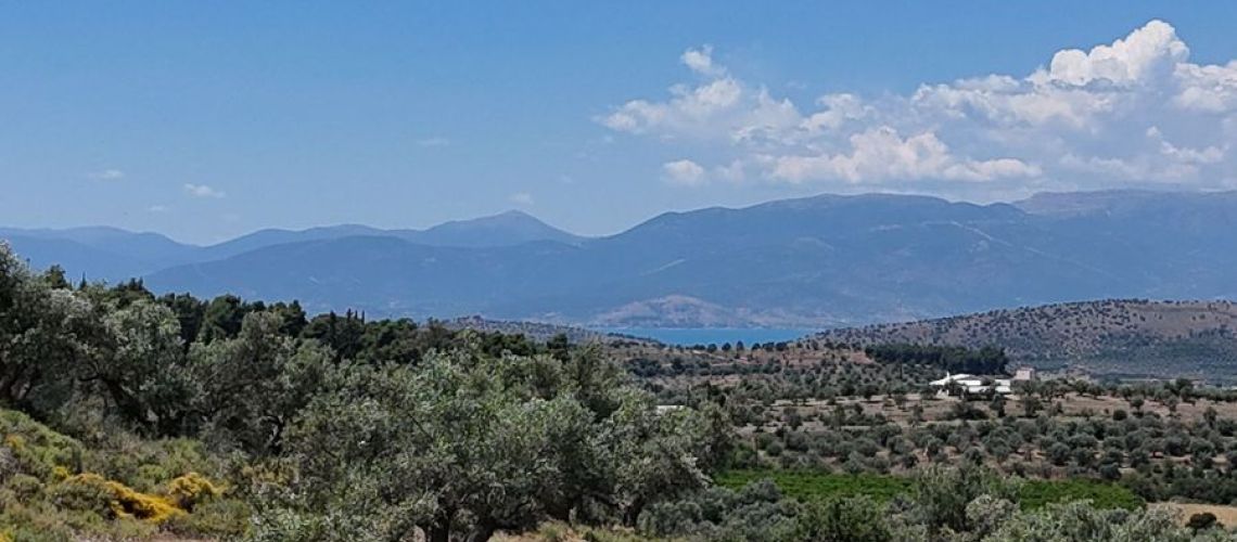 εικόνα ακινήτου