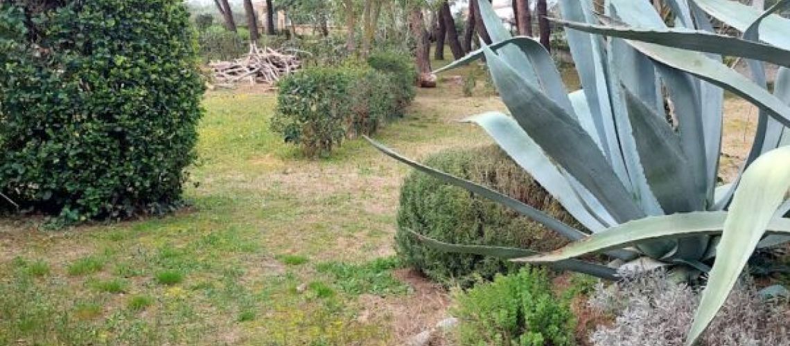 εικόνα ακινήτου