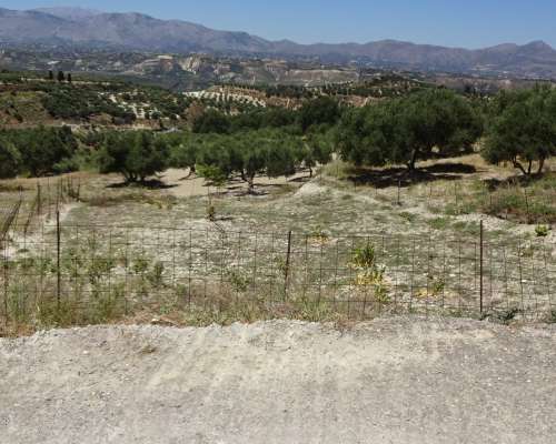 φωτογραφία ακινήτου