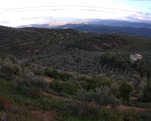 φωτογραφία ακινήτου