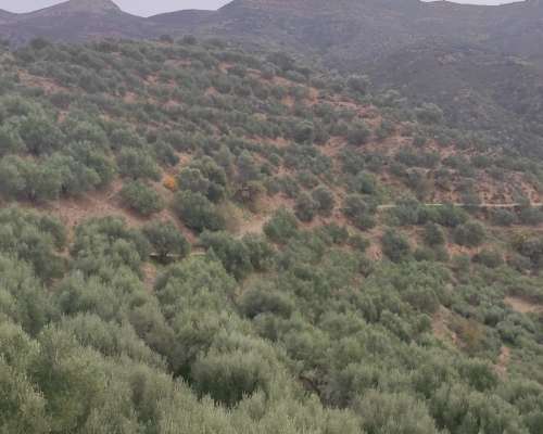 φωτογραφία ακινήτου