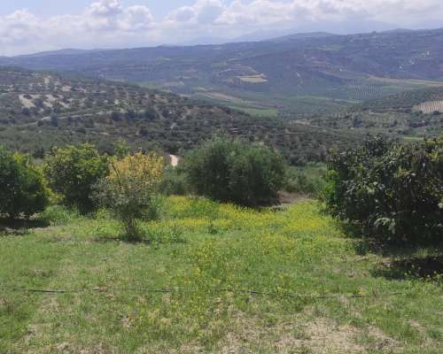 εικόνα ακινήτου