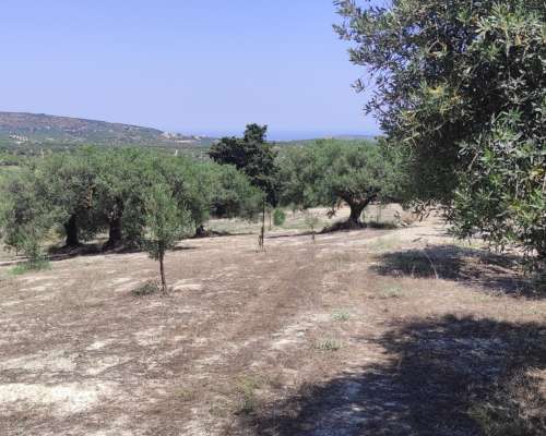 φωτογραφία ακινήτου