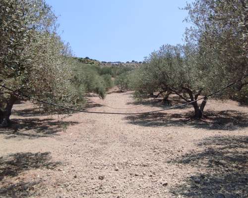 φωτογραφία ακινήτου