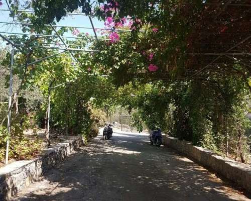 φωτογραφία ακινήτου