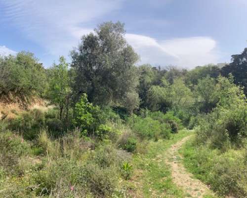 φωτογραφία ακινήτου