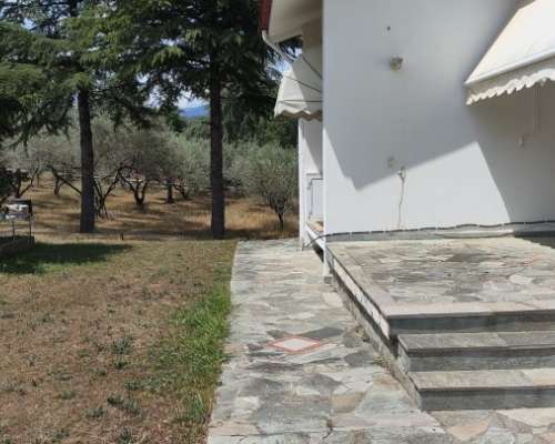 φωτογραφία ακινήτου