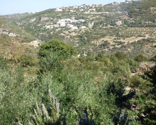 φωτογραφία ακινήτου