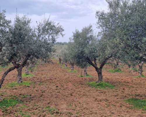 φωτογραφία ακινήτου