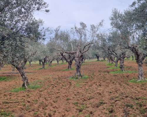 φωτογραφία ακινήτου