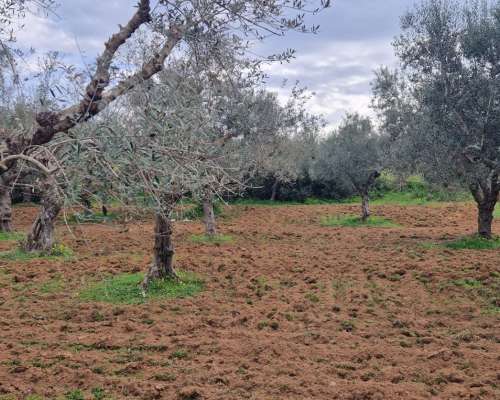 φωτογραφία ακινήτου