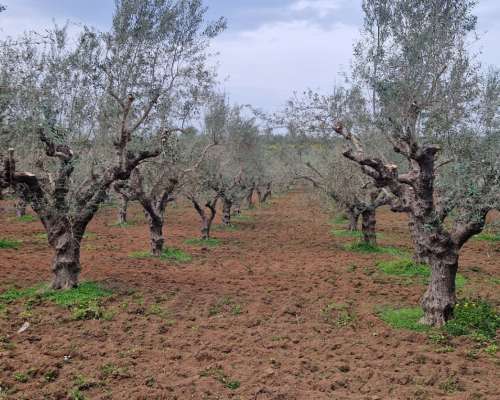 φωτογραφία ακινήτου