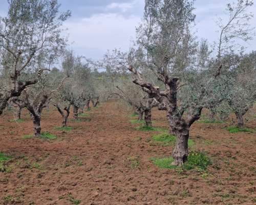 φωτογραφία ακινήτου